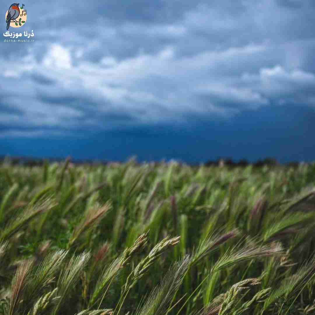 زیر خاک دفن میشه کلی آرزو هر کاری کنی