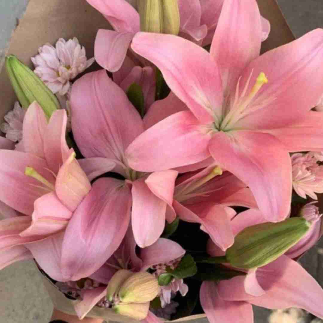 مادر حالا به من نگاه کن مادر با صدای دختر