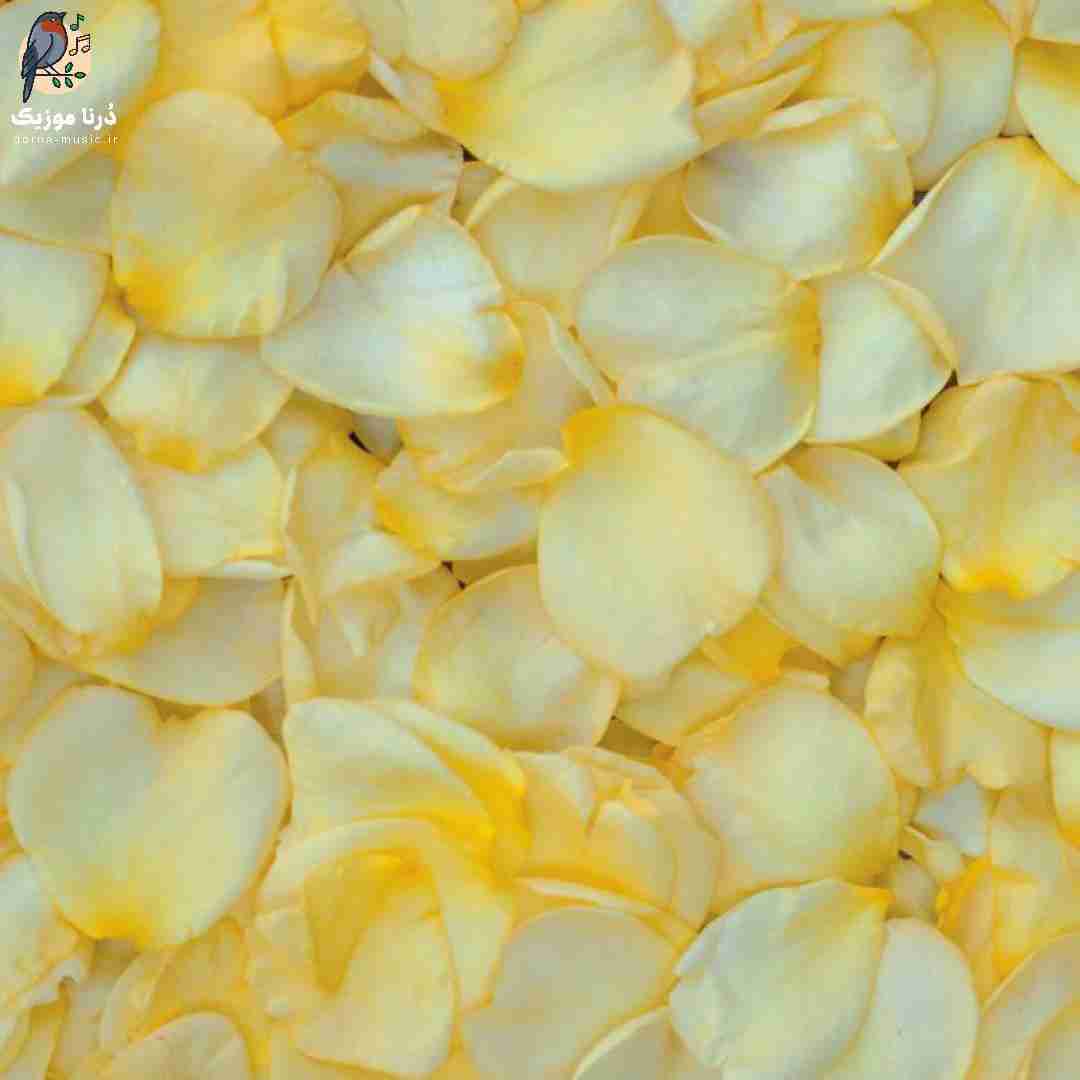 آره که موهات بلنده زیباست (میکس اینستا)