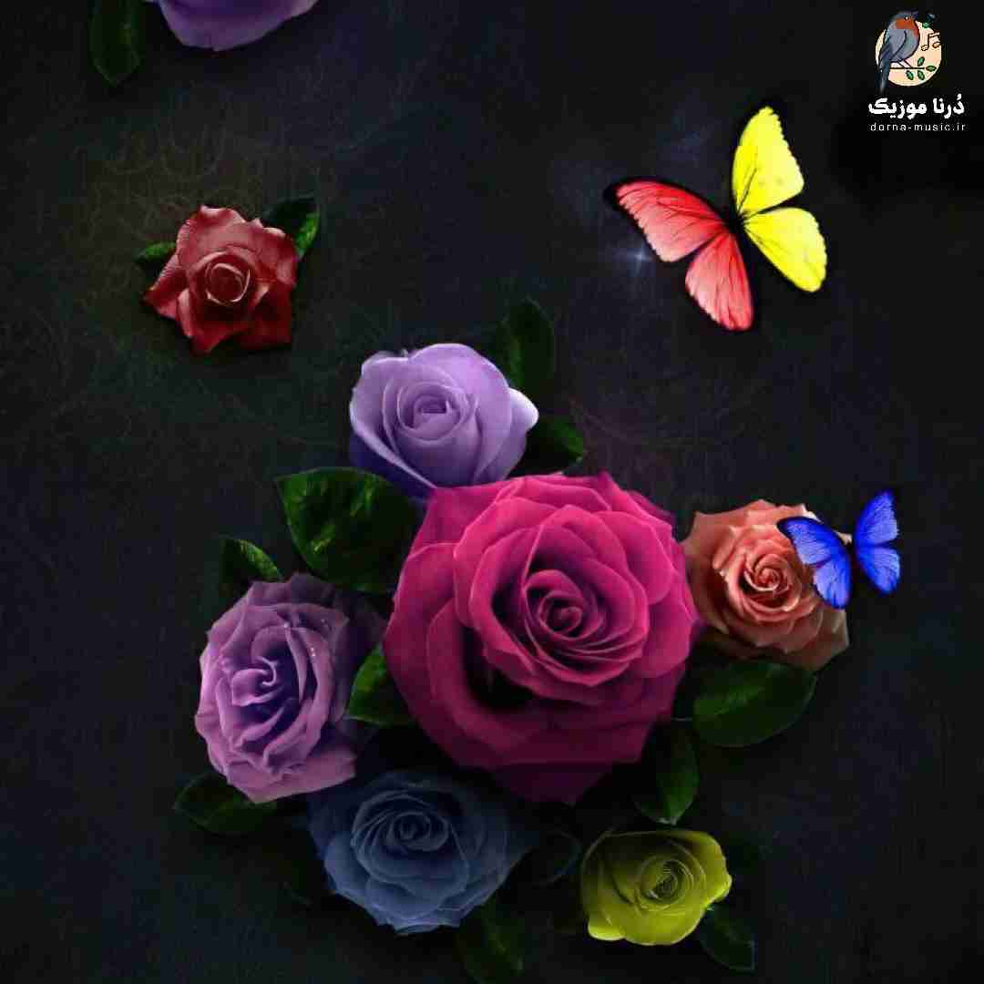 ببین چیا ازت میگنو میگنو همه اونو بات دیدنو دیدنو
