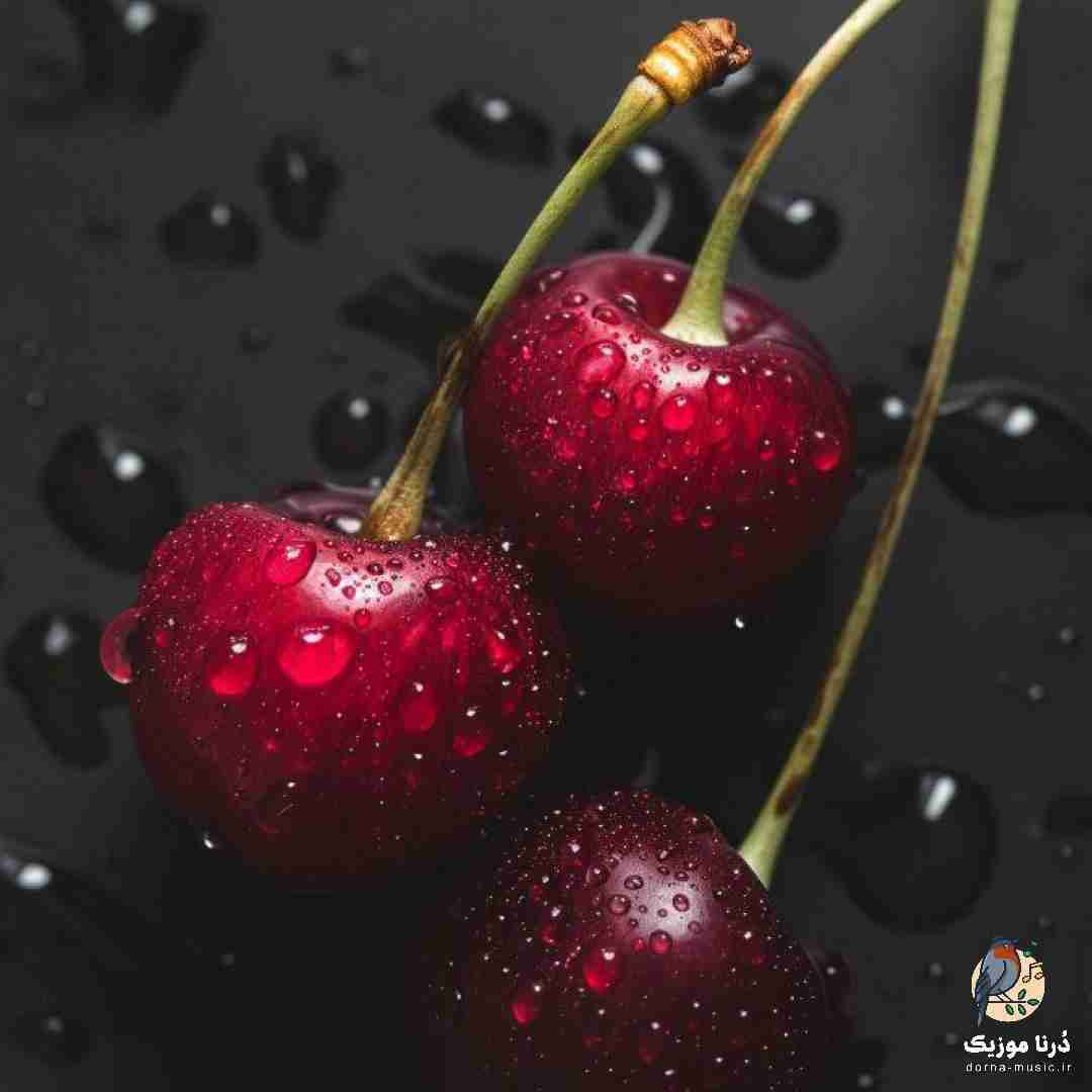 حال بدیامو فقط اتاقم دیده دیگه برو بسه