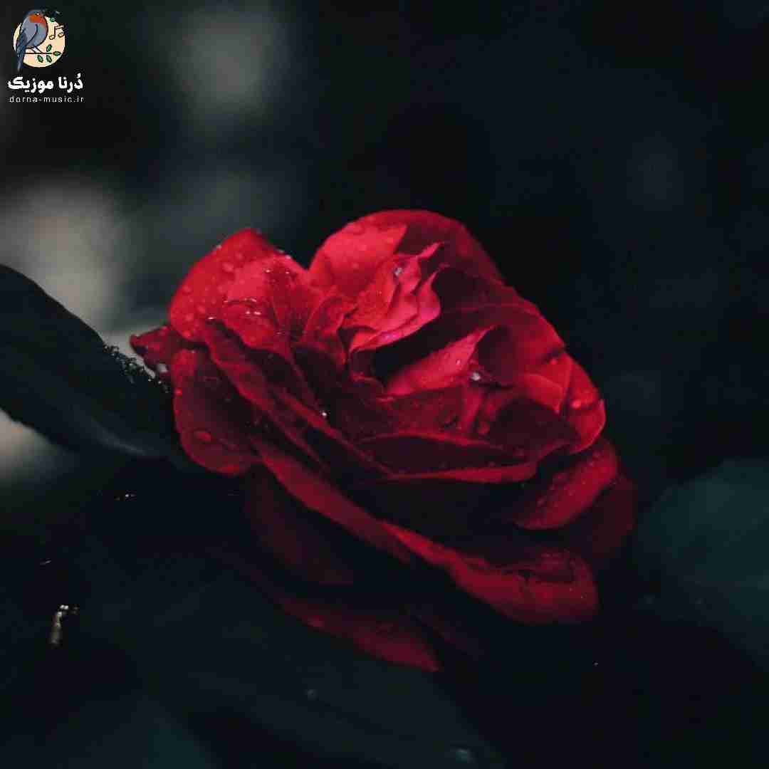هر شب بت فکر مکنم توی پارس مشکی (میکس اینستا)
