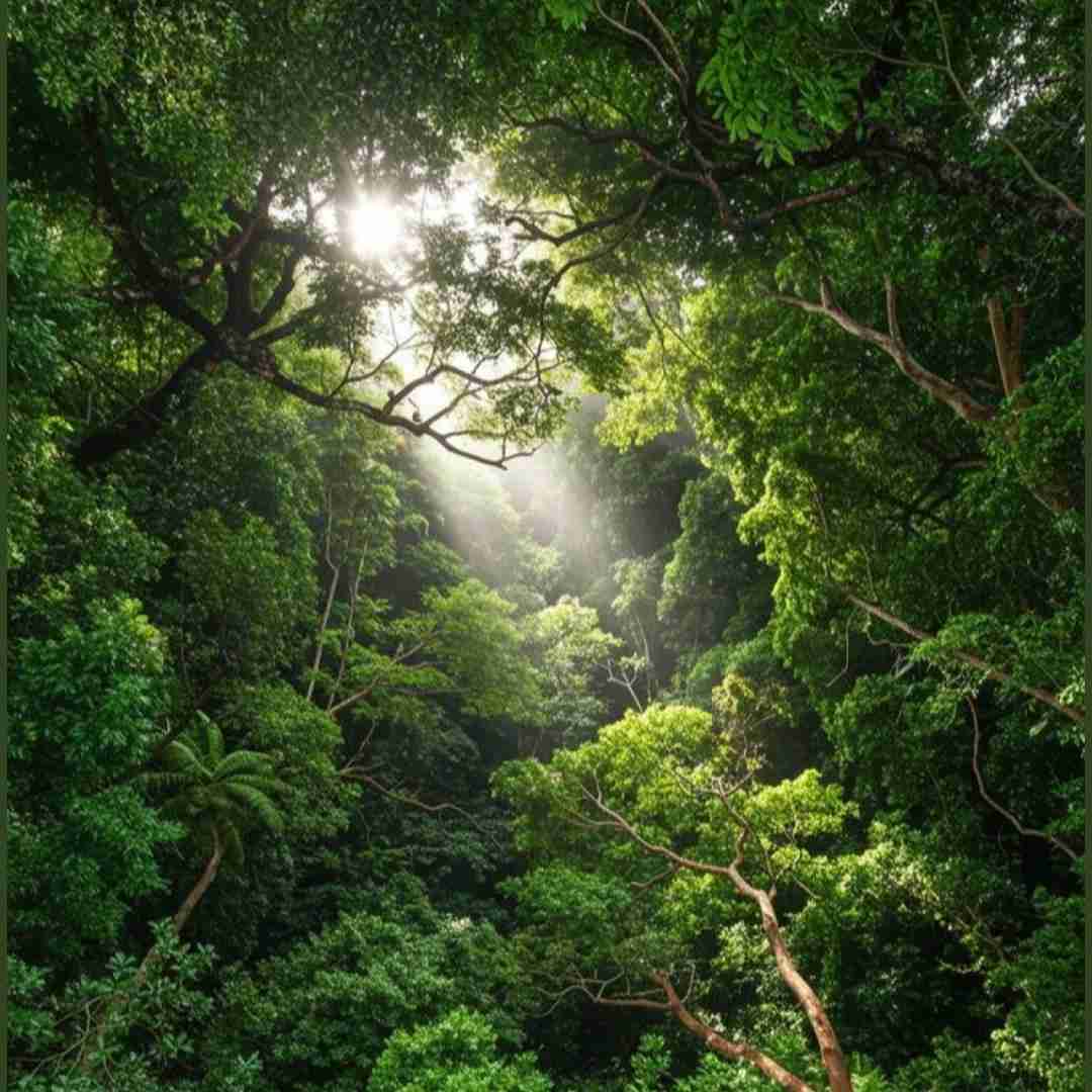  شدم مجنون مشهور میدون شهر با صدای زن (ترند اینستا)