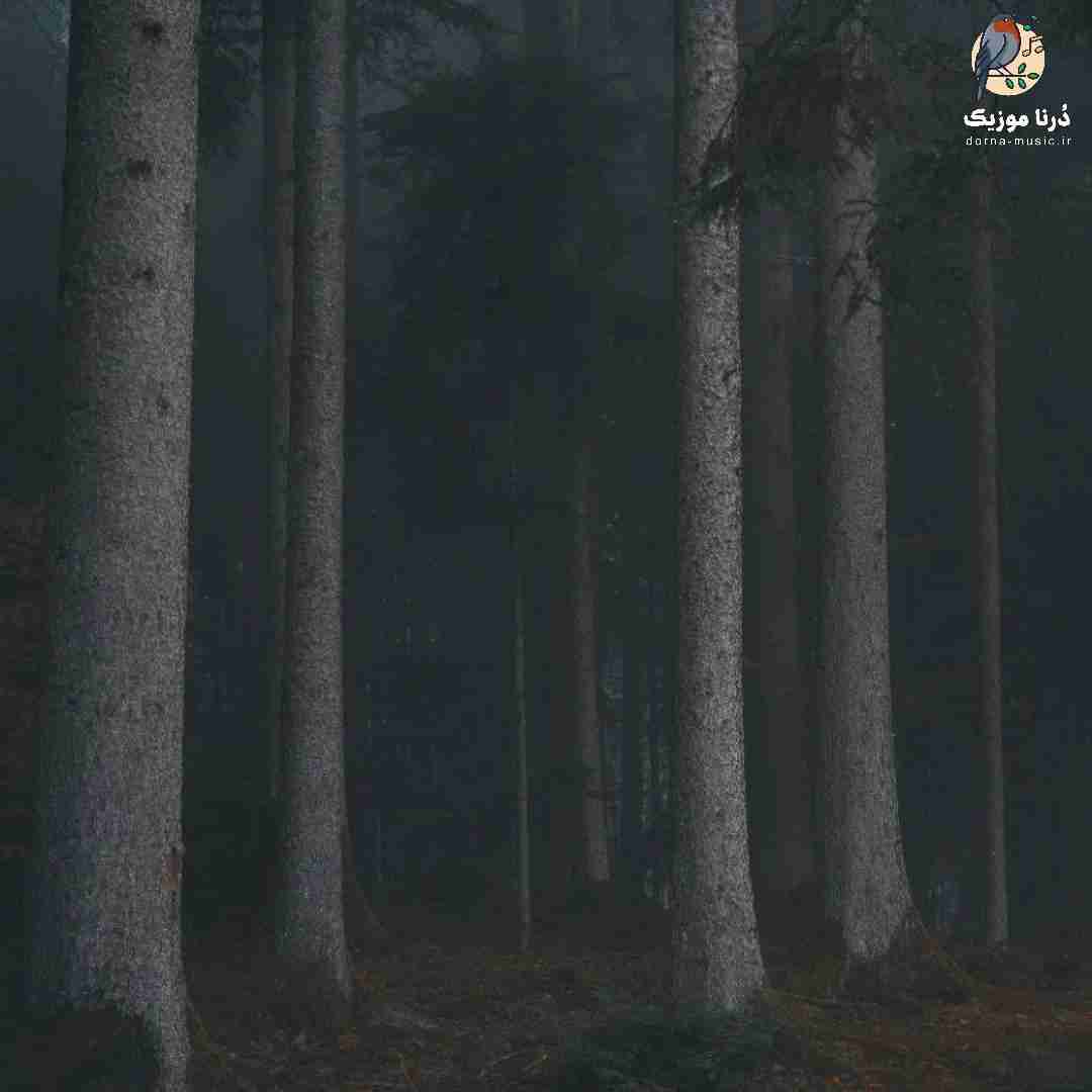 الکی نگو به من دیگه حسی نداری