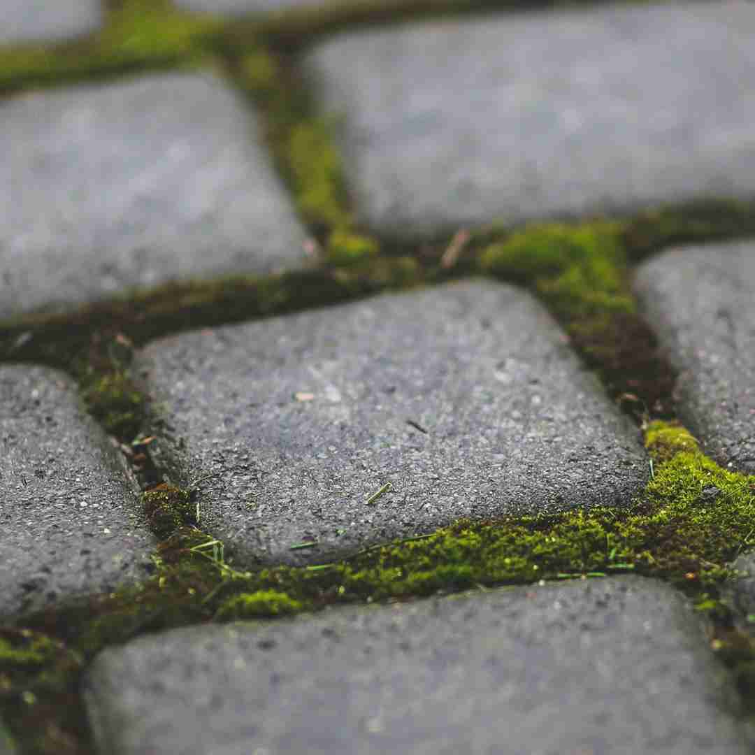 عشقت توم خونه کرده جای دستام موند