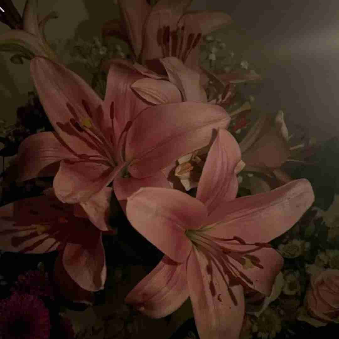 من عمدا به چشمای تو باختم از آغوش تو (ترند اینستا)