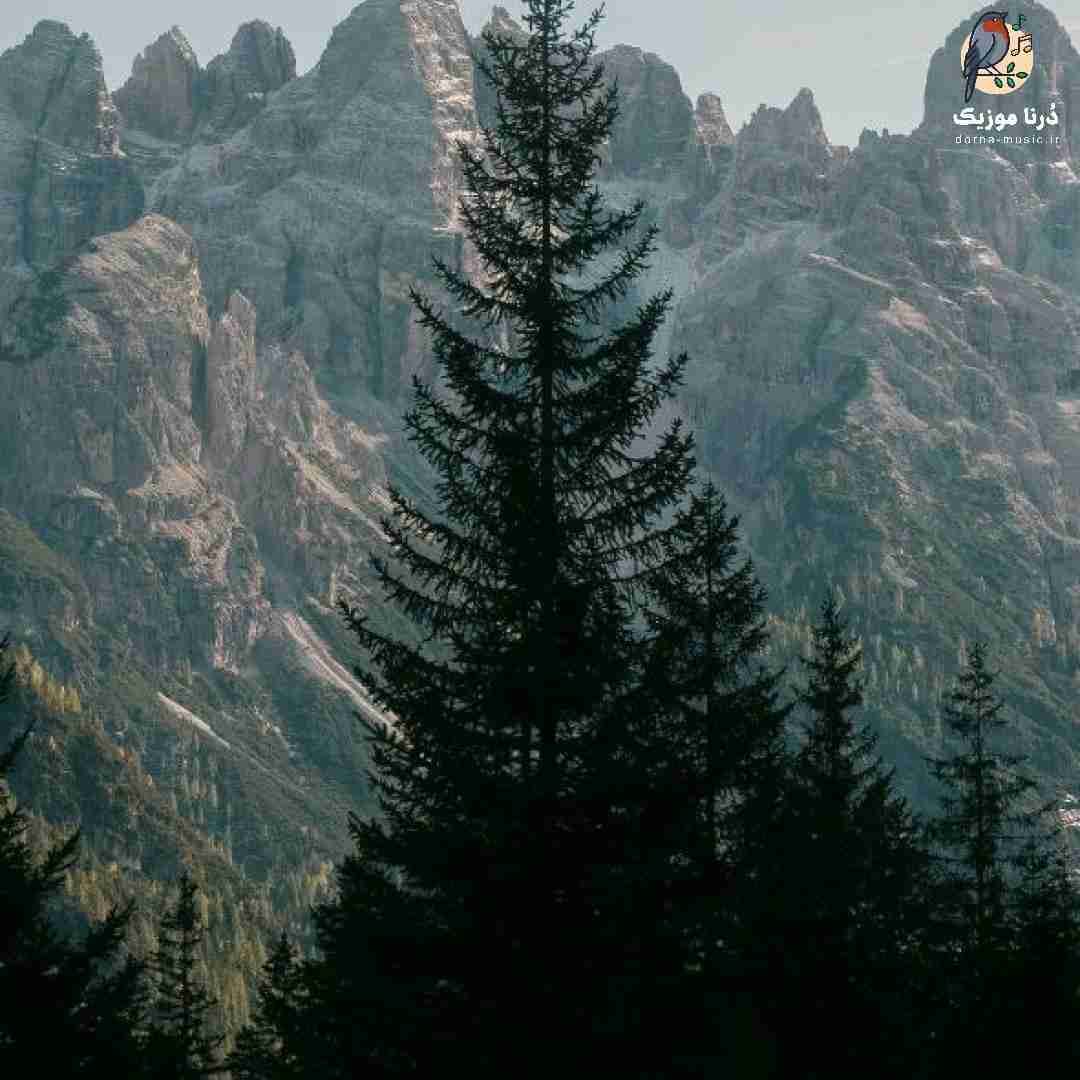  آدما ولم نمیکنن برس خدا به دادم انقدی خیابونم