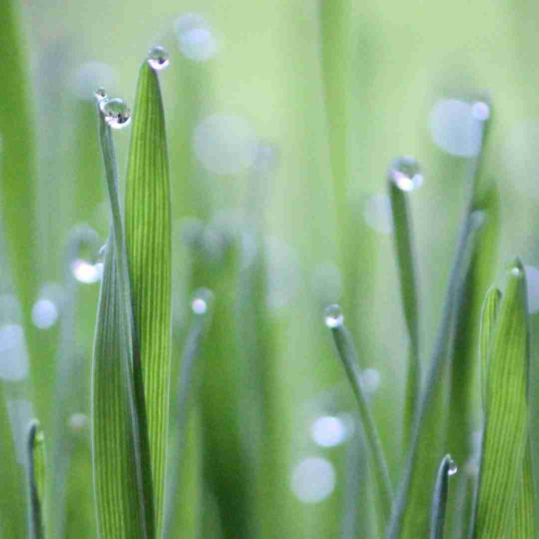 همه جای شهرو گشتم دنبال چشمات (هوش مصنوعی)