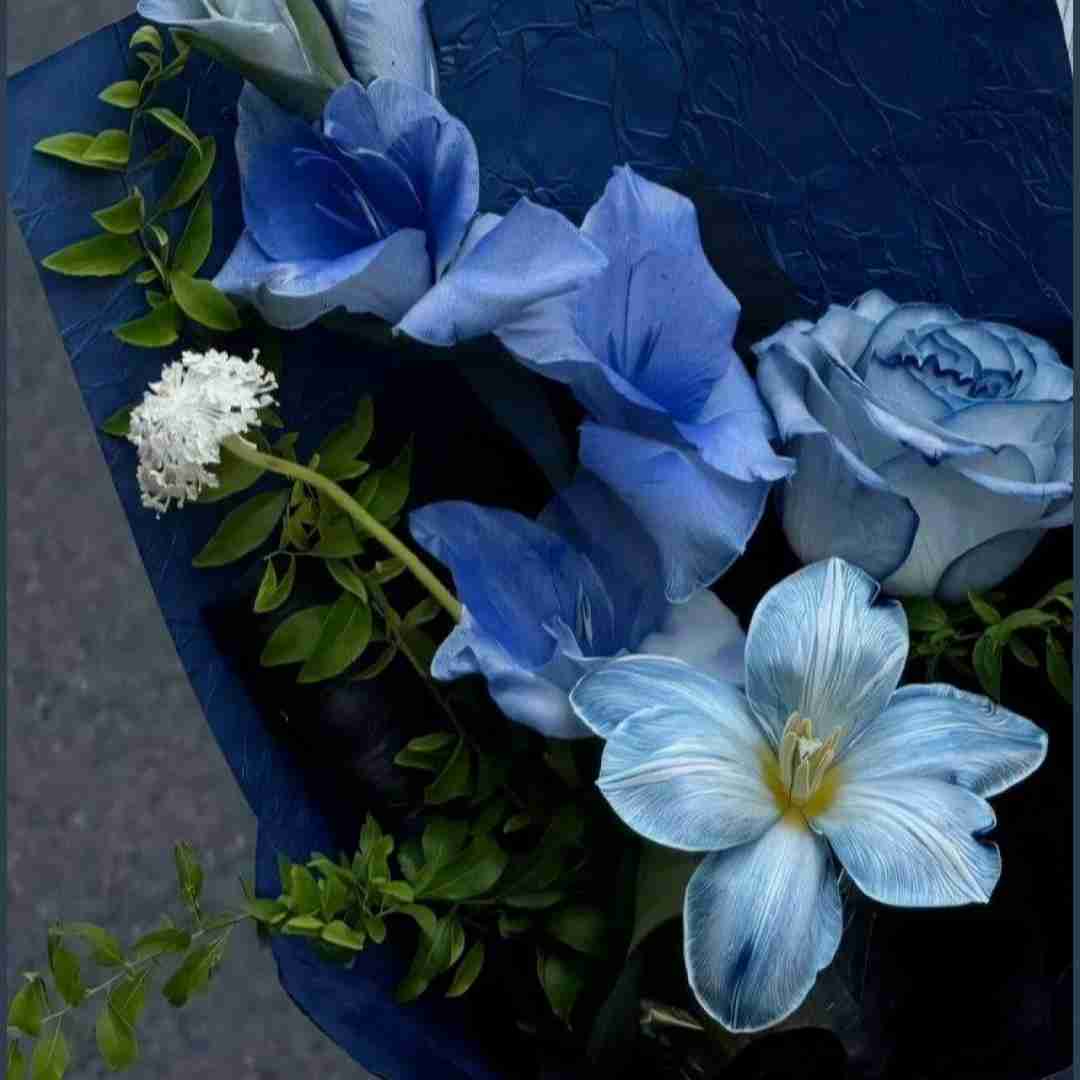 کرمانجی هر گوله اینستا