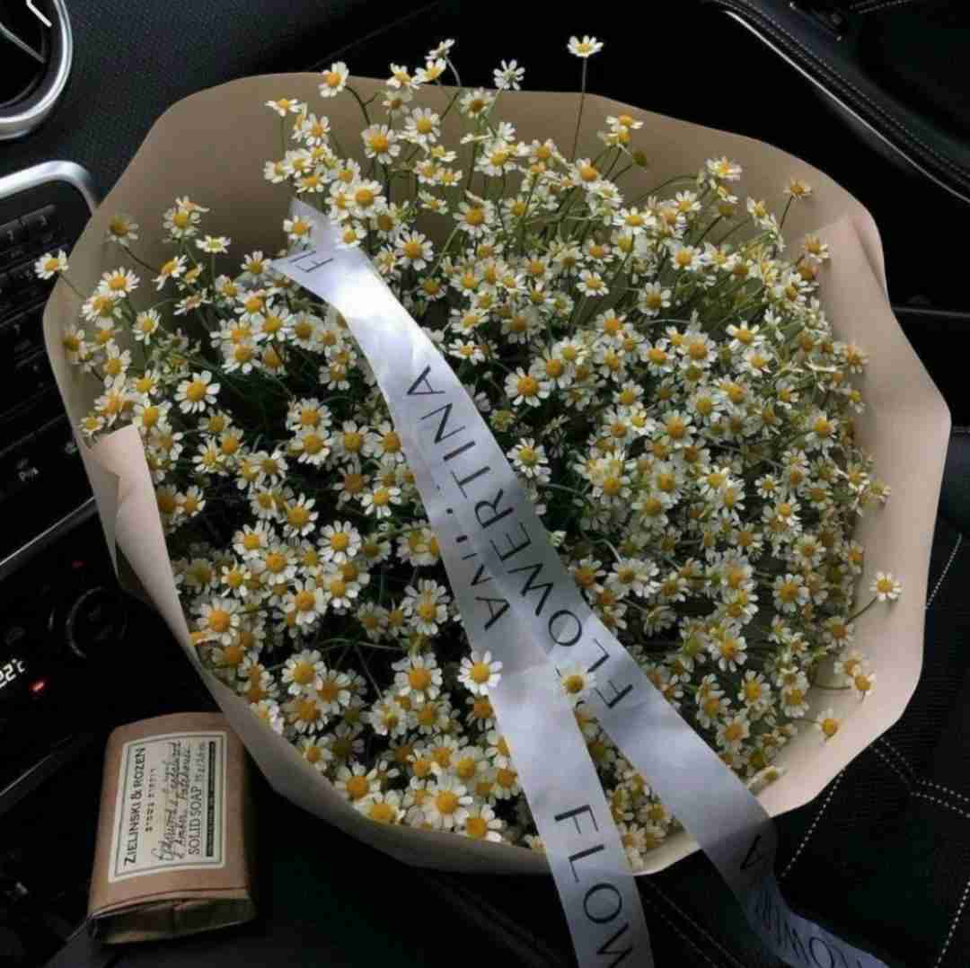  سریال ترکی اشرف رویا