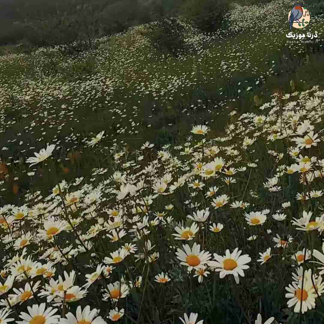دانلود ریمیکس امروز اولین صبح بدون توئه کاشکی هیچوقت
