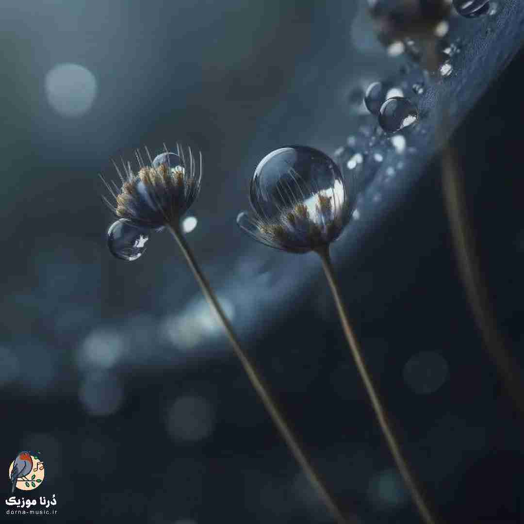 دانلود آهنگ داینی داینی جونم قربون پنج تیر پرونوم (ترند اینستا)