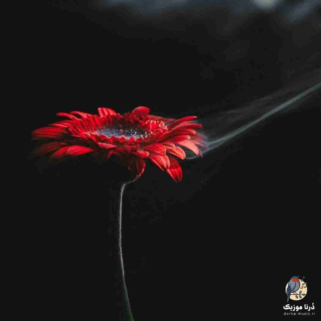 دانلود آهنگ میبینی حالم بده تو دلت میخندی تو که پوست