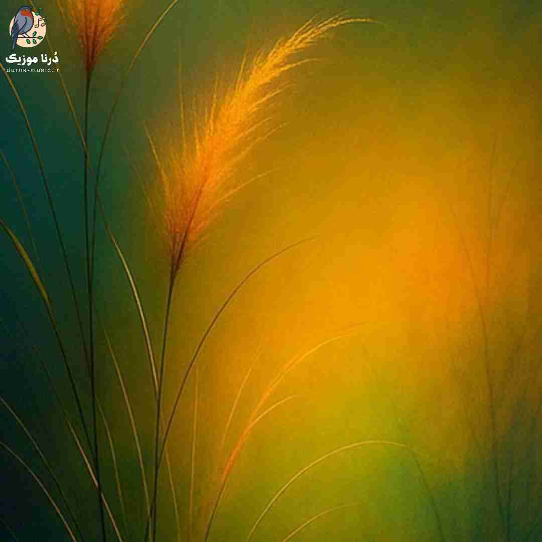دانلود آهنگ برو دیگه ترکم کن من خودمو ترک کردم