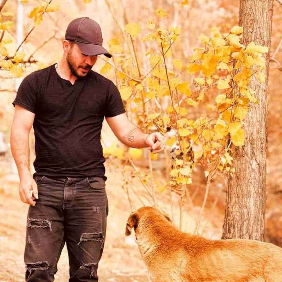 بهمن سپهوند شاه ماهی