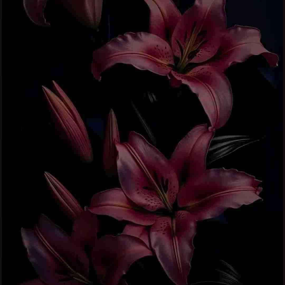 باشه میگن یکی باشه عاشق چشماشه