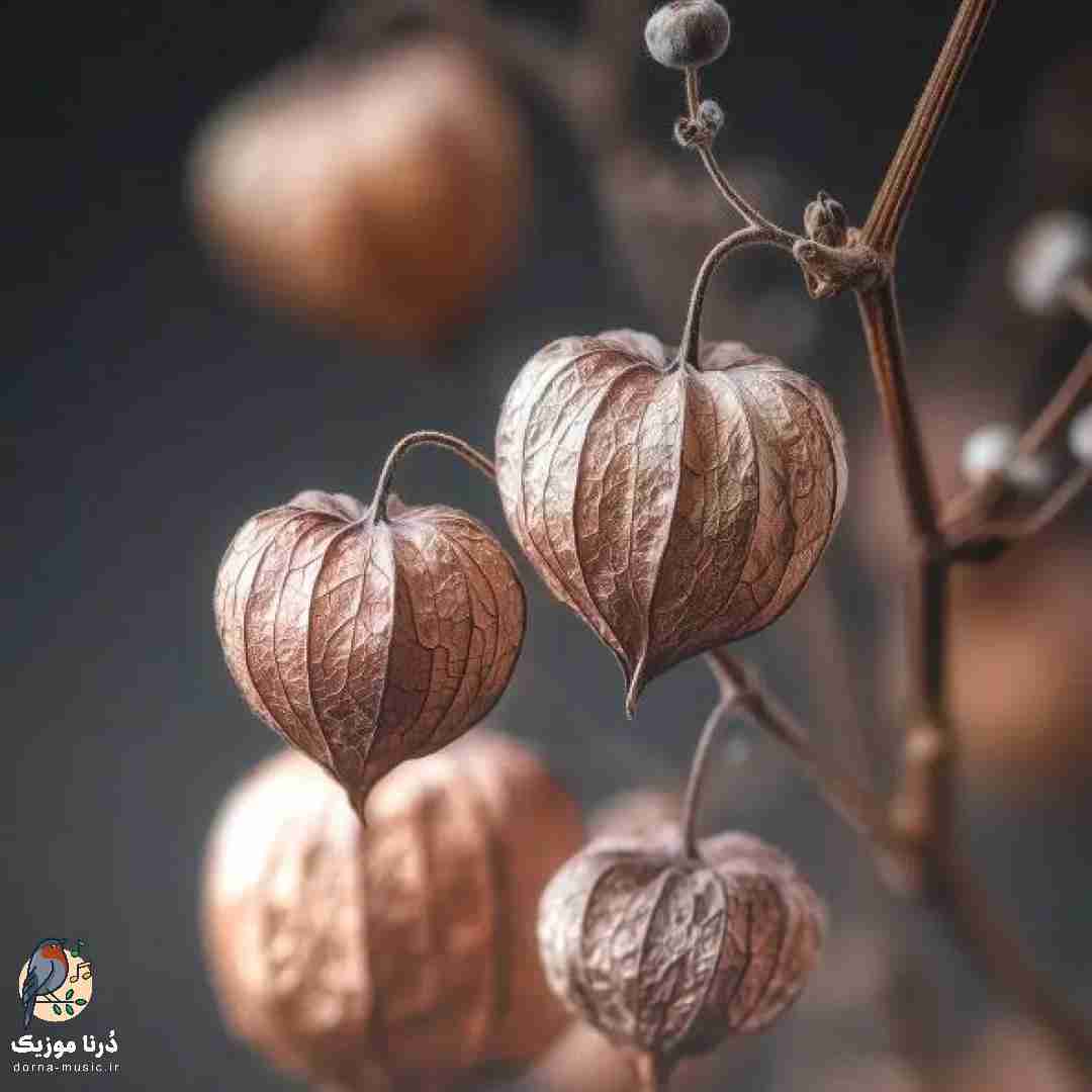  میخواد بره بره حال نمیکنم هی بره بیاد