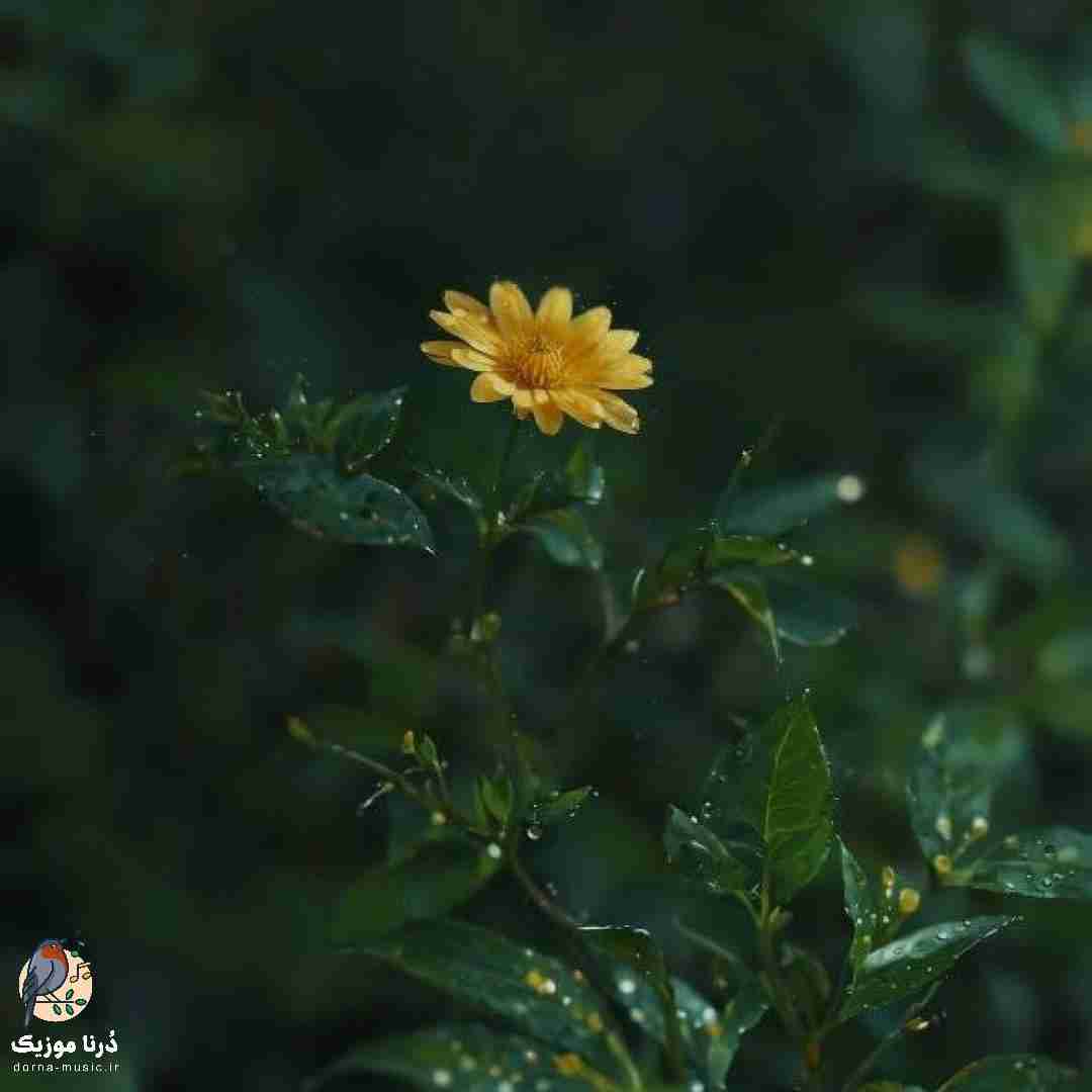 دانلود ریمیکس میگفتی تنم فقط برا خودته آخه من رفتم (میکس اینستا)