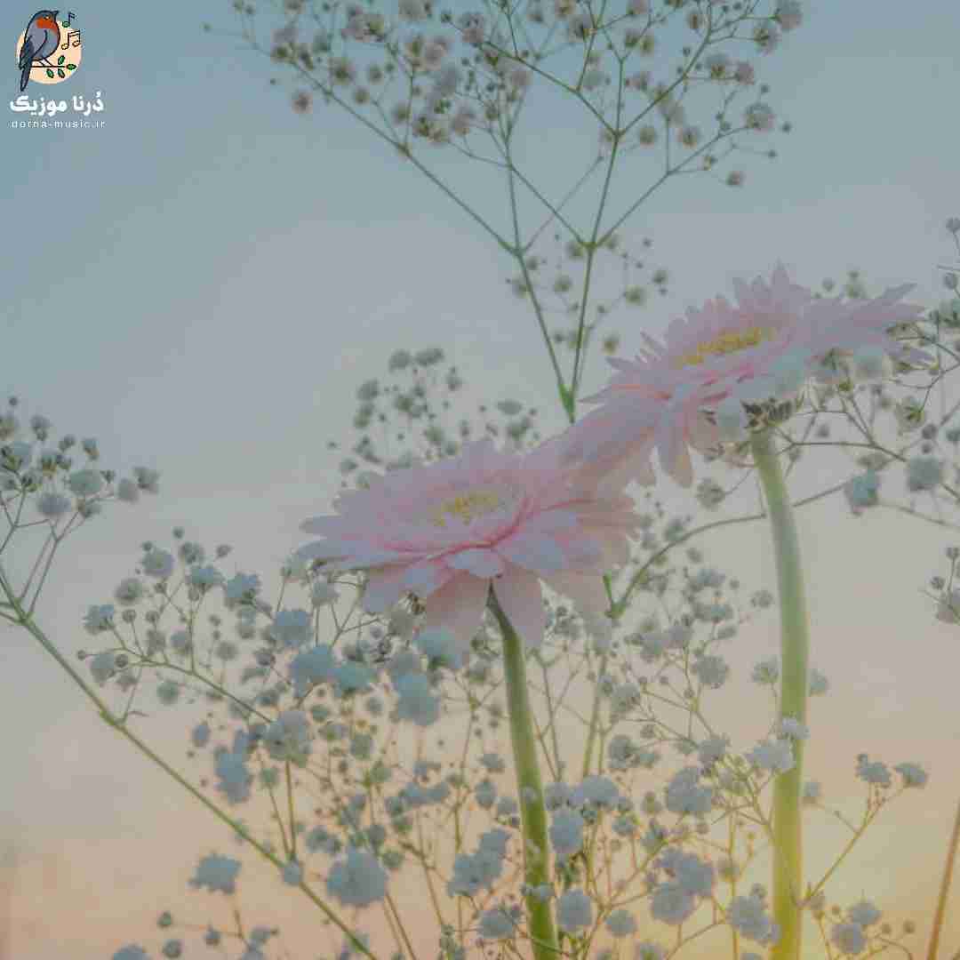 دانلود ریمیکس به داد همه رسیدم داد خودم چی (میکس اینستا)