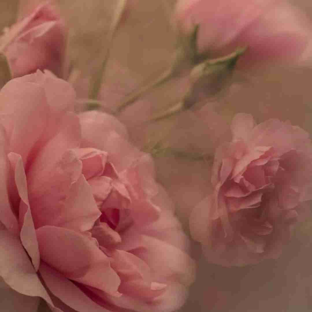  یه دکترو پیدا کردم بهش میگن مرد صلح