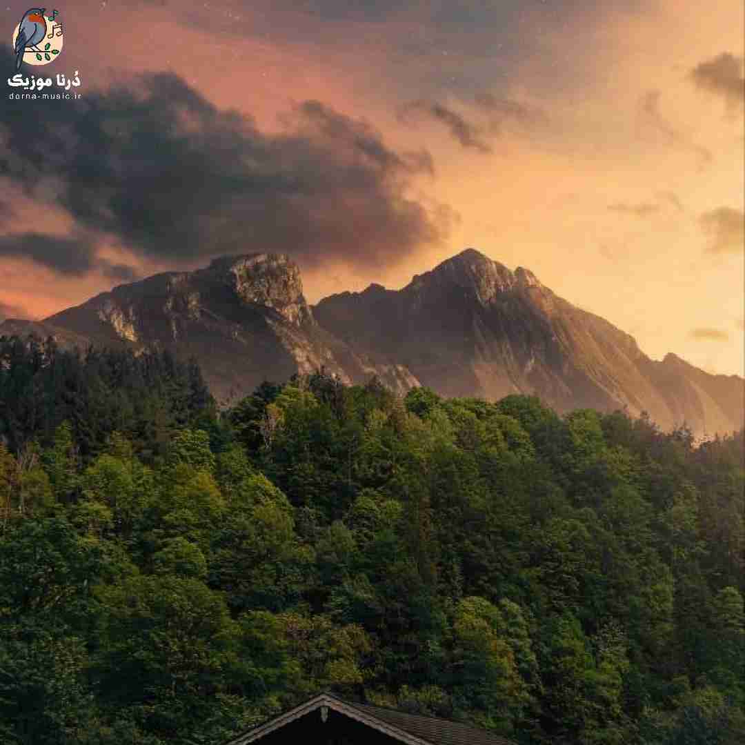  زدی با همه چیت من کنار میومدم با همه چیت