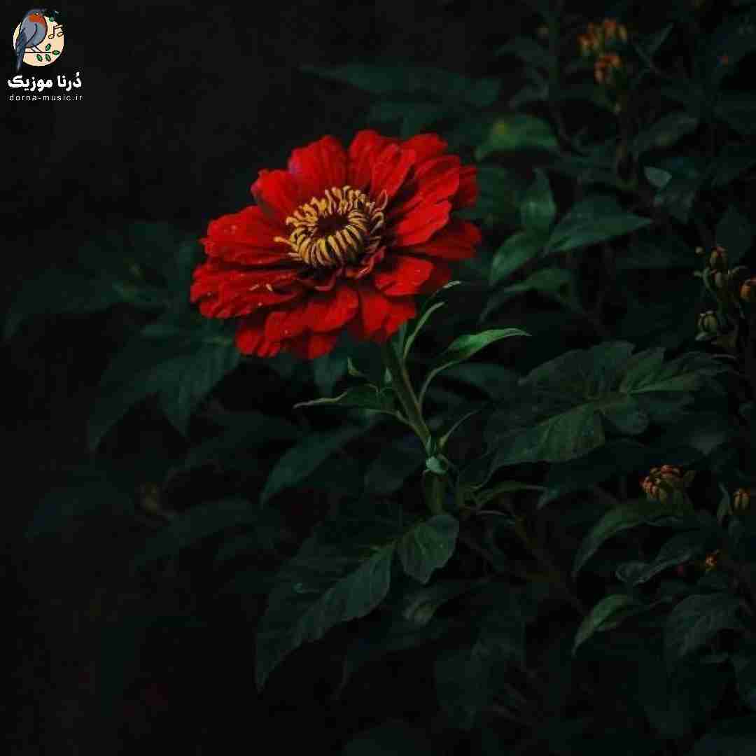 دانلود آهنگ الو حاجی بابی کجاس منو بگیر ببین ناجی کجاس