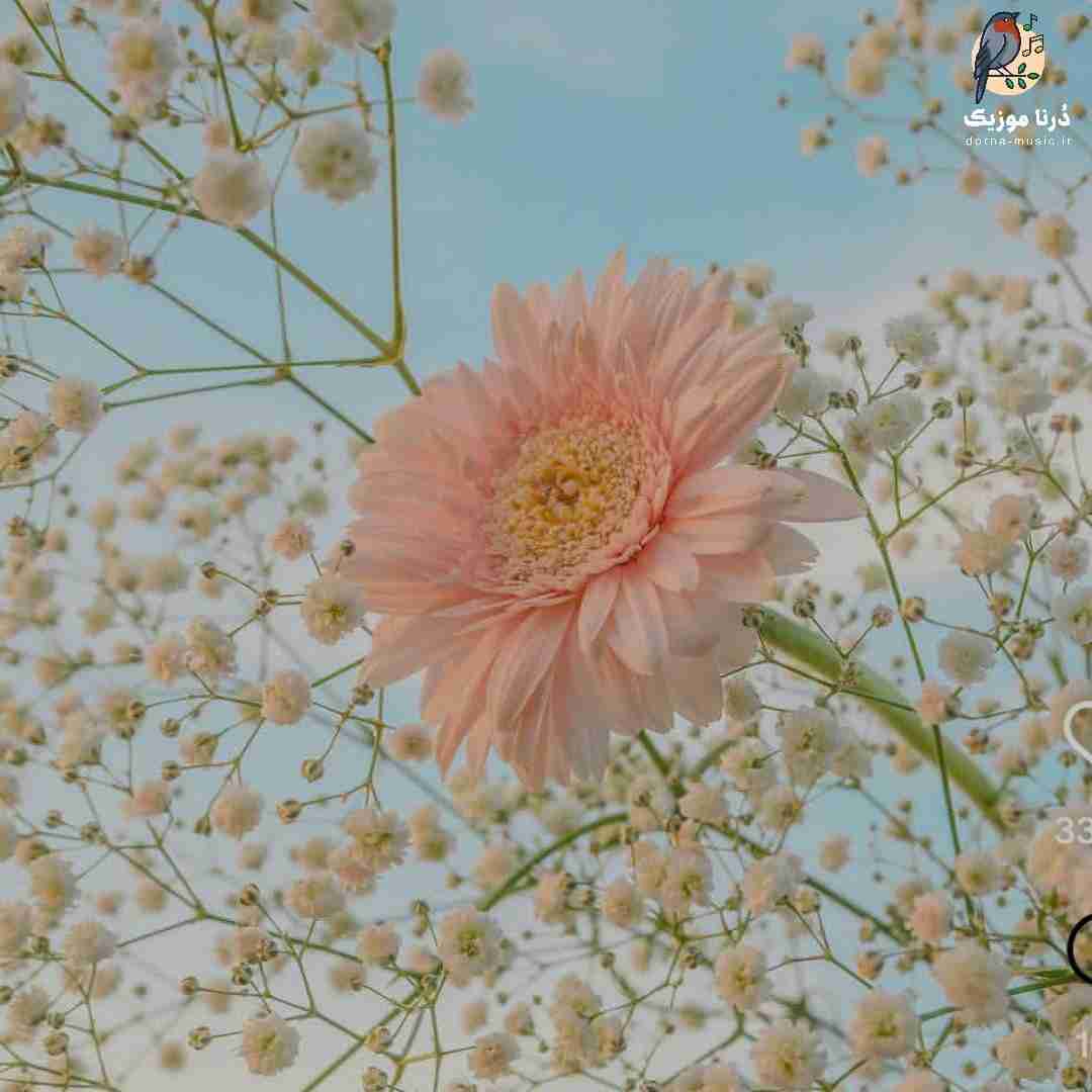 دانلود آهنگ داشتم میوفتادم تو نگام میکردی بچه حالم