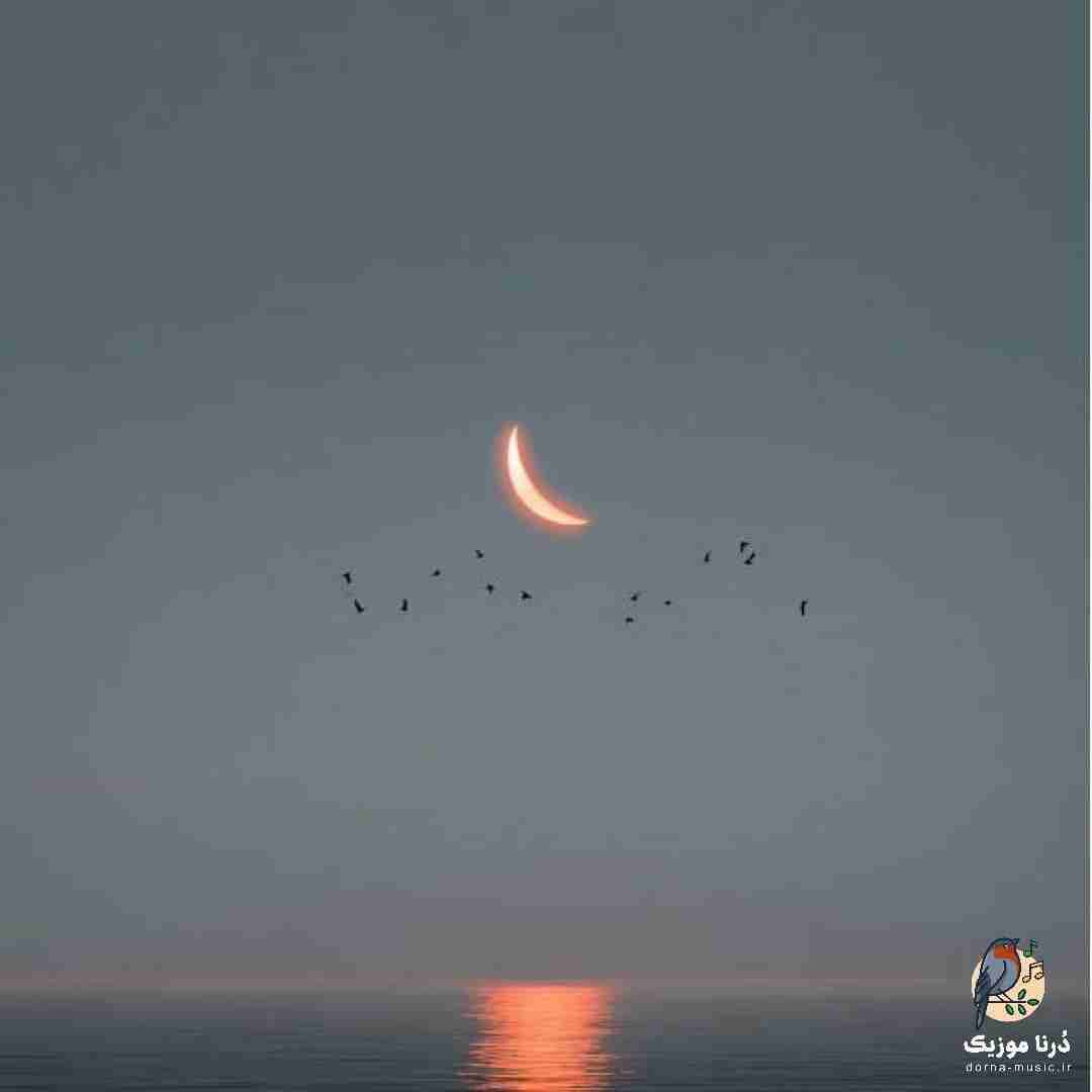 دانلود آهنگ میدونستم منو آخر بگا میده آخه یزید با من چرا دیگه