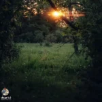 چطور این شبا سر کنم بی تو رو کلی تلخیم چطور این شبا سر کنم بی تو رو کلی تلخیم