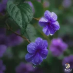 قبلنا از عشق میترسیدم از هرچی که واسم قبلنا از عشق میترسیدم از هرچی که واسم
