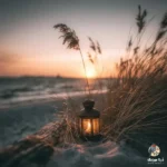 خوشحالی برام نمونده همش شده تلخی (میکس اینستا) خوشحالی برام نمونده همش شده تلخی (میکس اینستا)