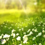 دانلود ریمیکس جدید تنفر حس و حالم به همه میگی آدم دورم زیاده