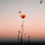 سلامتی آقام باشه سایش بالا سرم قول میدم بهت