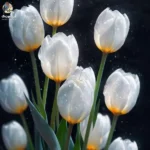 از دلم چطور بندازمت بیرون شبها بدون تو (ترند اینستا) از دلم چطور بندازمت بیرون شبها بدون تو (ترند اینستا)