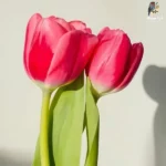 شب که می آید در شهر غریب یاد مادر می افتد (هوش مصنوعی)