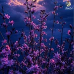 خداحافظ غریبی تموم بی اسیری (میکس رپی) خداحافظ غریبی تموم بی اسیری (میکس رپی)