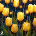 لعنتی شده هی پارازیت سوختم ساختم خودمو لعنتی شده هی پارازیت سوختم ساختم خودمو