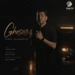 قصاص پارسا محمدی