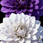 دانلود ریمیکس جدید به غیر از این بدون که سرشار و مستم (میکس اینستا)